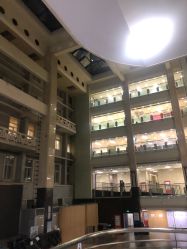 -首都医科大学附属北京儿童医院