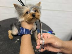 -达爱动物医院·犬猫分区·CT·复杂眼科(远洋山水分院)
