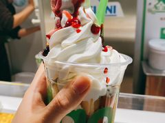 -Salud撒露欧洲冻酸奶(蓝色港湾店)