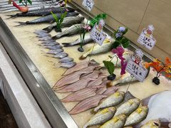 -陶然饺子城(奥体中路店)