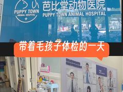 -芭比堂动物医院·CT·微创中心(新顺分院)