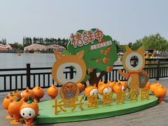 -上海长兴岛郊野公园