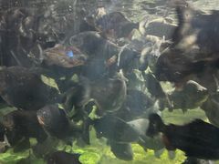 -泉城欧乐堡海洋极地世界