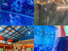 -北戴河圣蓝海洋公园