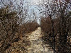 -元大都城垣遗址公园