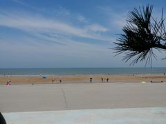 -日照海滨国家森林公园