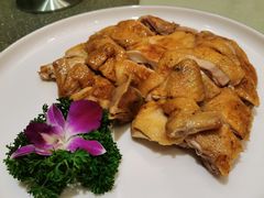 -龙悦湾酒家·八阵鱼生·渔人码头店