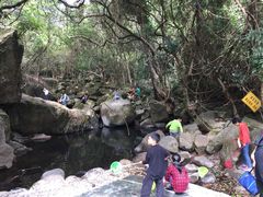 -清溪森林公园