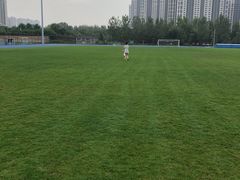 -山西体育中心红灯笼体育场