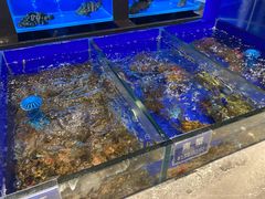 海鲜-金时代顺风大酒店(临港百联店)