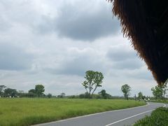-良渚古城遗址公园