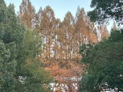-杭州少年儿童公园