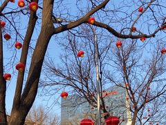 -华谊兄弟总部办公大楼