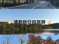 -南京市无想山景区