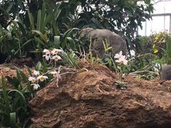 -南通洲际绿博园