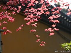-龙华寺