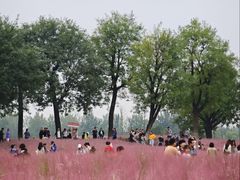 -汉长安城未央宫国家考古遗址公园