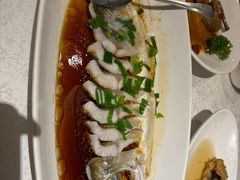 -金美华轩(东方路齐鲁店)