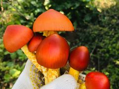 -丹东市五龙山风景区