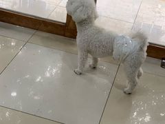 -百信宠物医院(东升街店)