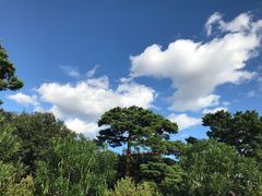 -三鹰之森吉卜力美术馆