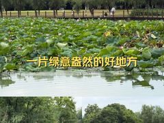 -艾溪湖湿地公园