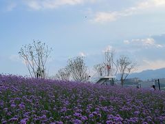 -金海湾滨江公园