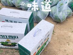 -庞各庄西瓜蔬菜采摘园·锦华瓜园