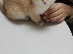 -美联众合24小时·皮肤科·外科·全科诊疗中心(华苑分院)