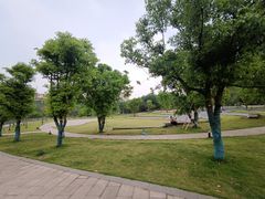 -重庆彩云湖湿地公园
