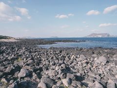 -涉地可支