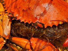 -泰国村酒楼(良木园酒店)