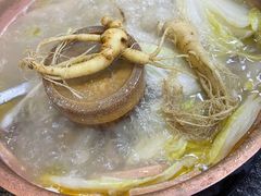 -朴小妹人参鸡汤火锅(长白山万达店)