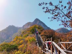 -大岭沟猕猴桃谷风景区