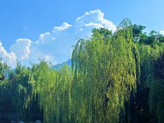 -长安上水缘度假庄园