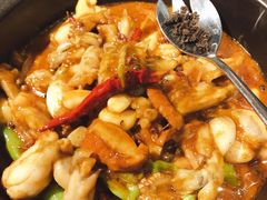 黑松露牛肝菌焖牛蛙-云海肴·汽锅鸡·云南菜(美罗城店)