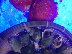 -安蒂娅·海鲜自助餐厅(安蒂娅美兰酒店)