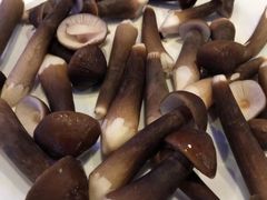 -千岛蚝高压锅生蚝·人参火锅(白云万达店)