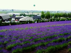 android_upload_pic-富田农场