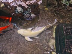 -御轩足道·SPA·养生·保健(瑞金北路店)