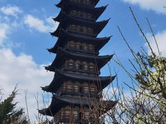 -上海方塔园