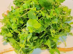 -No.DD戳子烧烤·江湖菜(北京总店)
