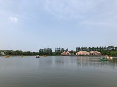 -上海长兴岛郊野公园