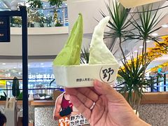 -野人先生Gelato(上海长宁龙之梦店)