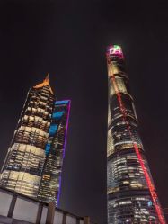 -巍阁高端月子会所