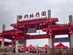 -曹州牡丹园