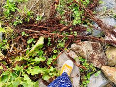 -舟山希尔顿酒店