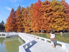 -白塘生态植物园