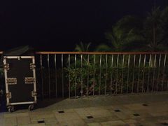 -日落吧·海景咖啡厅·餐酒吧·鸡尾酒·下午茶·乐队表演·浪漫夕阳·三亚文华东方酒店