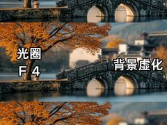 -CGWANG王氏教育(上海校区)